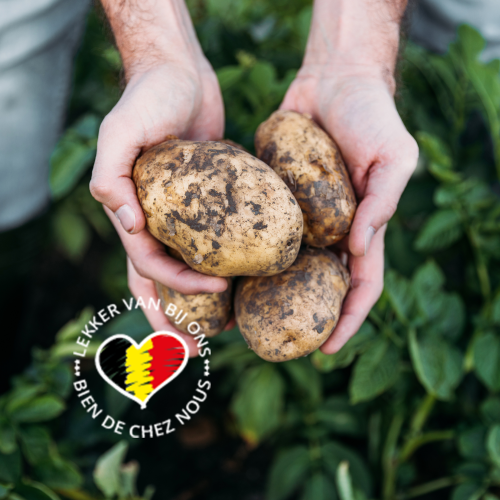De spommes de terres belges