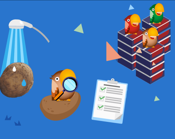 Comment sont faites les chips Croky ? 